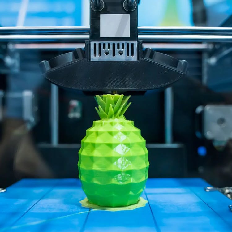 Summer Camp 2024 (Half Day) : 3D Printing